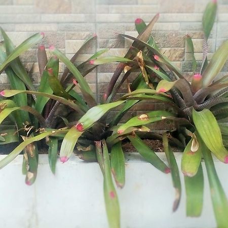 Homestay Bumi Asri III Cikutra Bandung Buitenkant foto